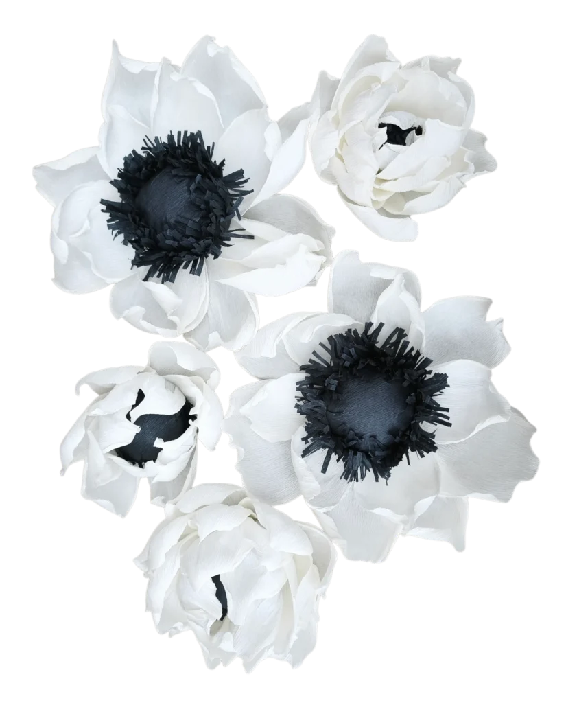 Gigantyczne białe kwiaty z włoskiej krepiny